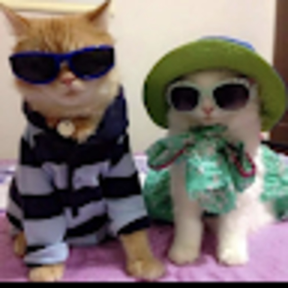 Meet your Posher, Isabellexo